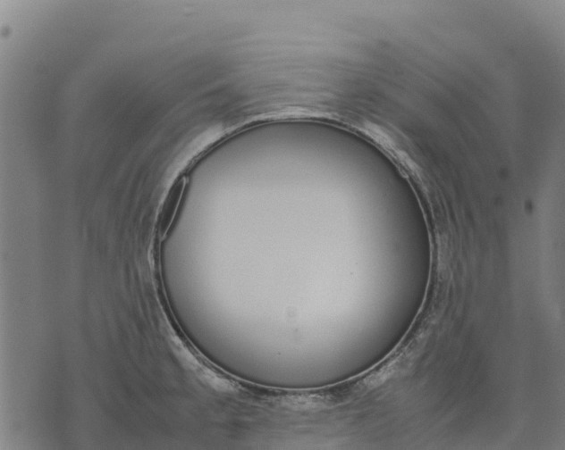 X0000070381189200606231704