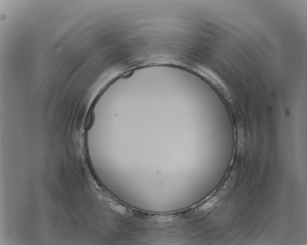 X0000070381190200606231704