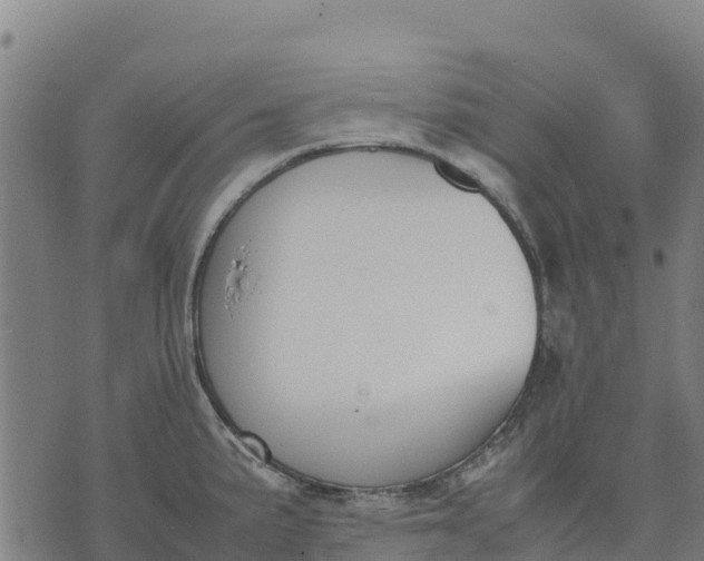 X0000070381191200606231704