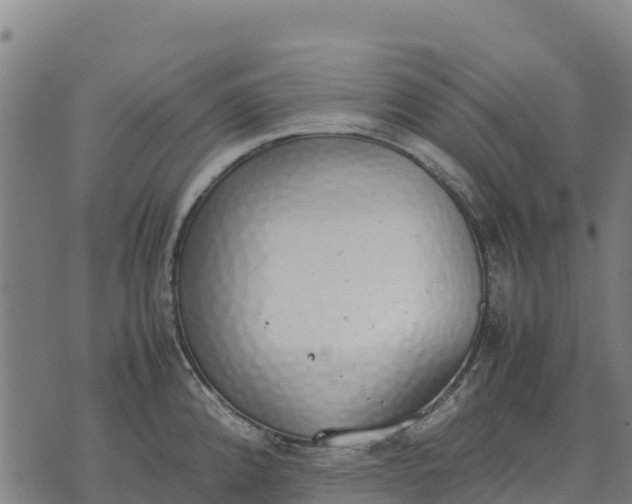 X0000070381192200606231704