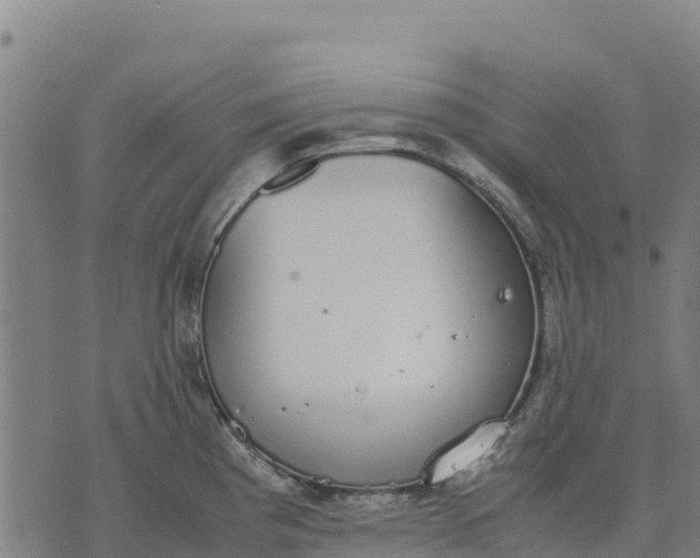 X0000070381193200606231704