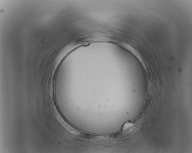 X0000070381195200606231704