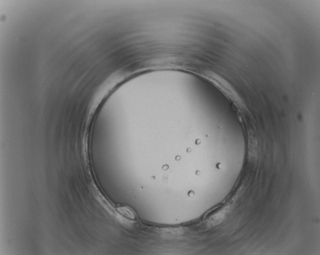 X0000070381196200606231704