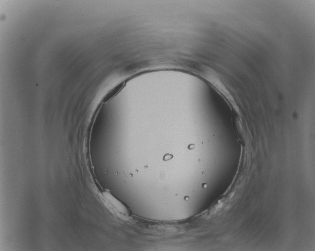 X0000070381197200606231704