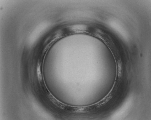 X0000070381198200606231704