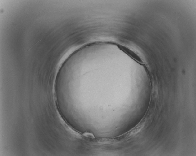 X0000070381199200606231704