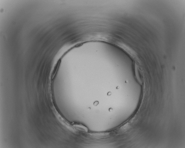 X0000070381200200606231704