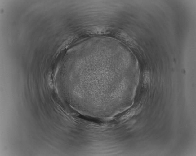 X0000070381202200606231704