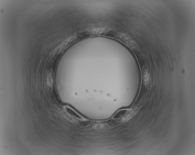 X0000070381204200606231704