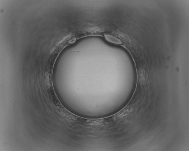 X0000070381205200606231704