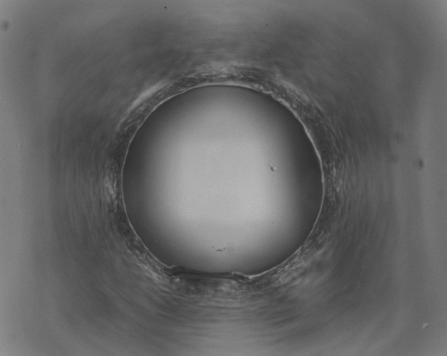 X0000070381206200606231704