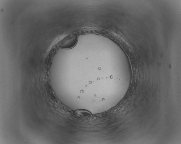 X0000070381207200606231704