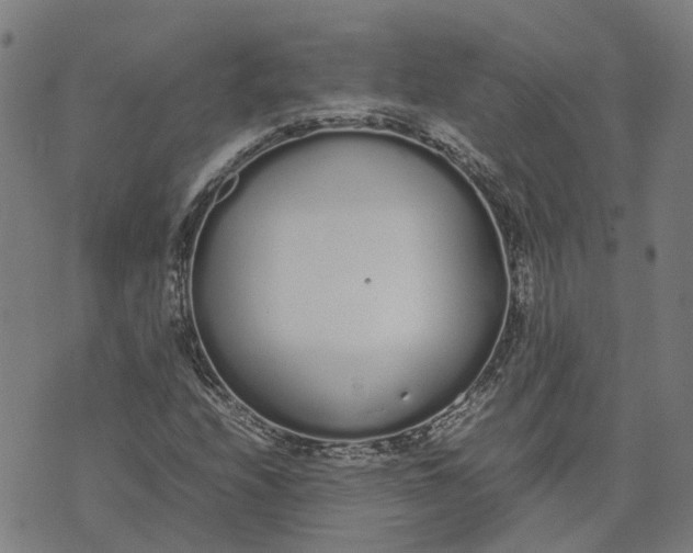 X0000070381208200606231704