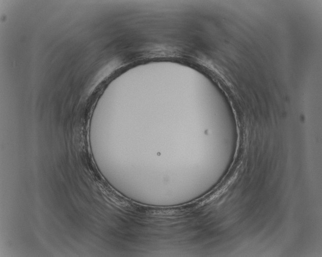 X0000070381211200606231704