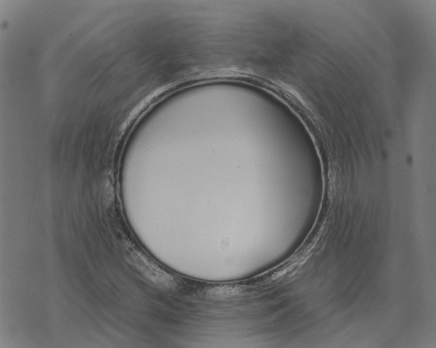 X0000070381212200606231704