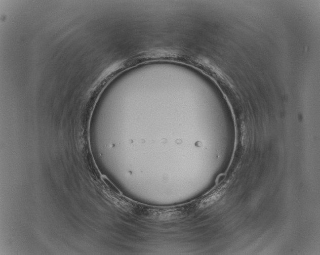 X0000070381213200606231704