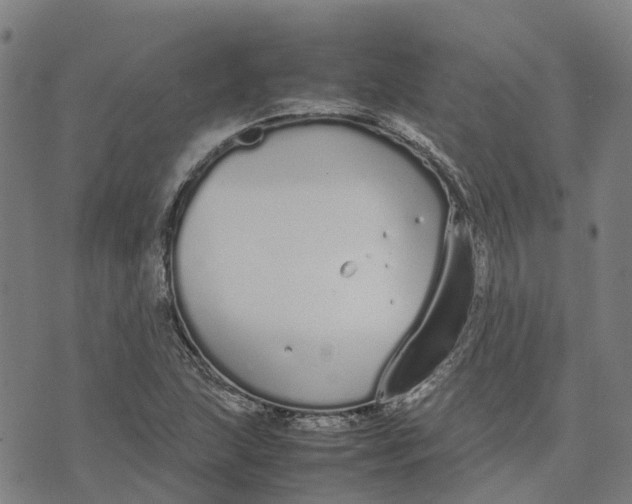 X0000070381215200606231704