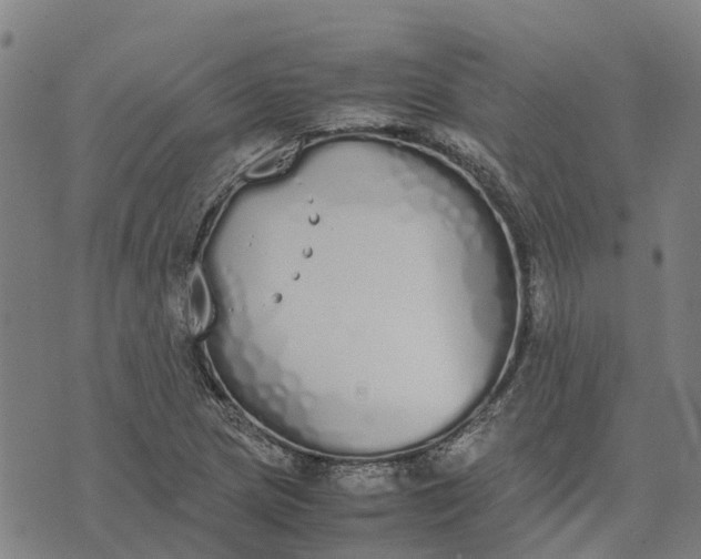 X0000070381217200606231704