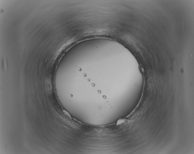 X0000070381218200606231704