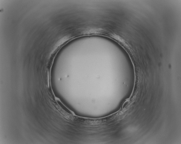 X0000070381219200606231704