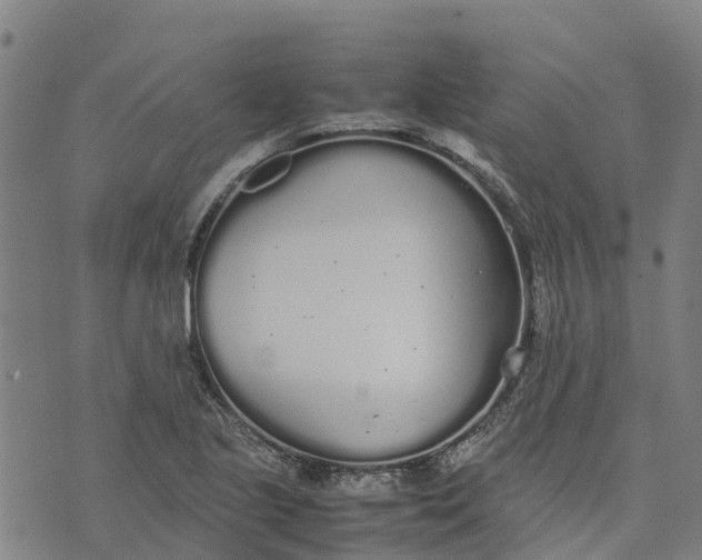 X0000070381221200606231704