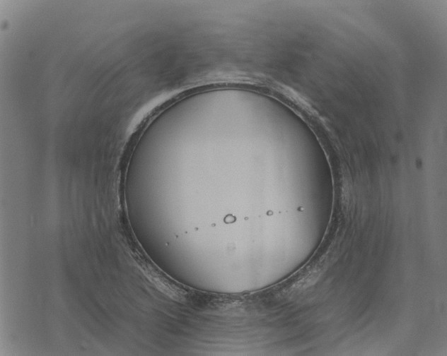 X0000070381222200606231704