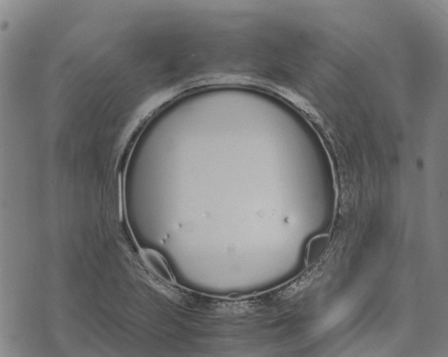 X0000070381223200606231704