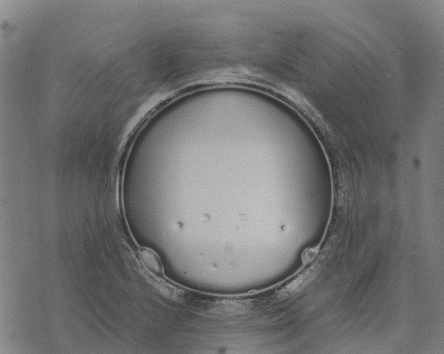 X0000070381224200606231704