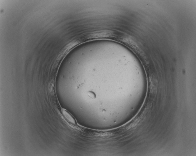 X0000070381225200606231704