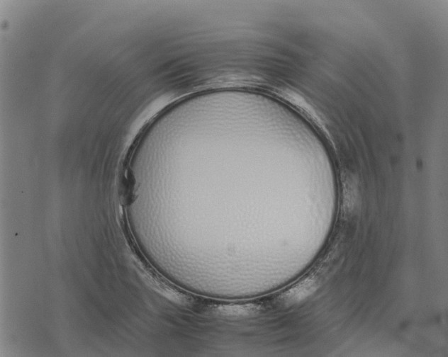 X0000070381227200606231704