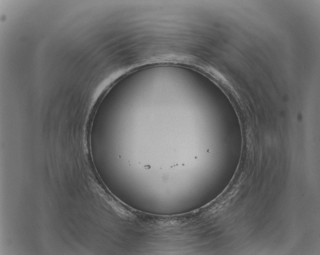 X0000070381230200606231704