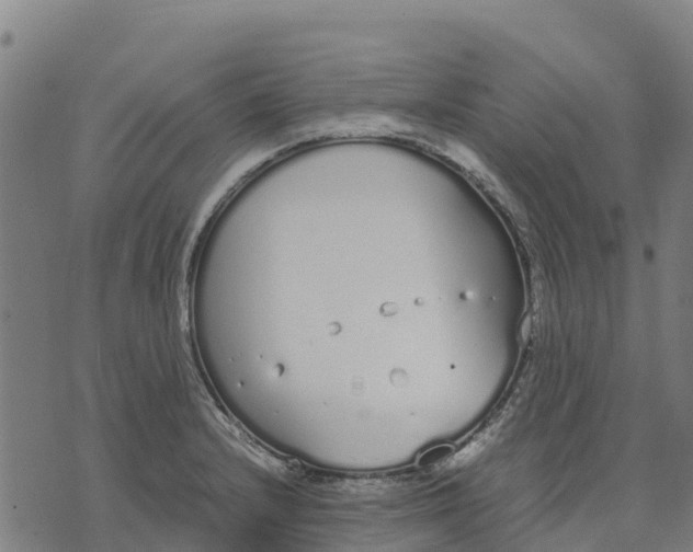 X0000070381232200606231704