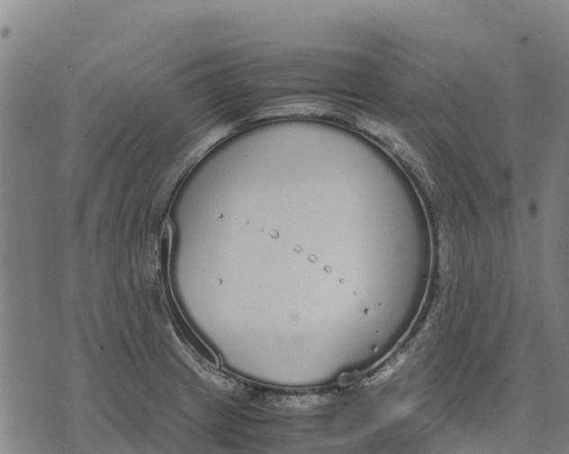 X0000070381233200606231704