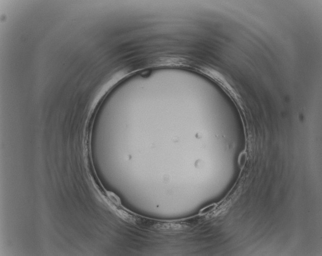 X0000070381235200606231704