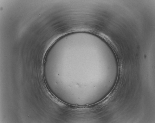 X0000070381236200606231704