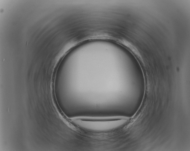 X0000070381237200606231704