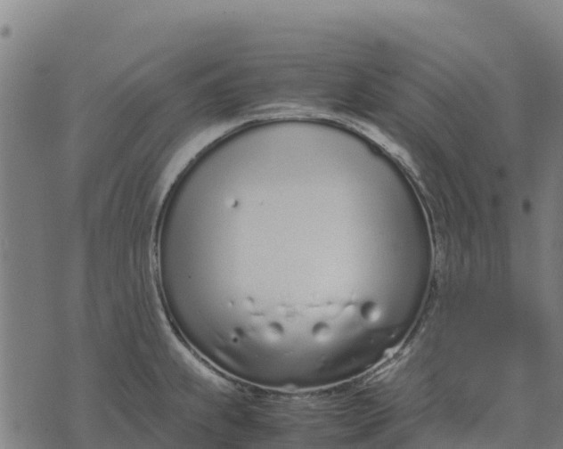 X0000070381239200606231704