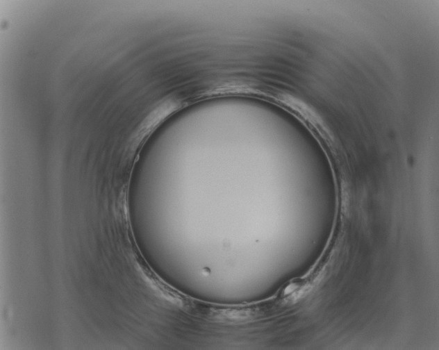 X0000070381241200606231704