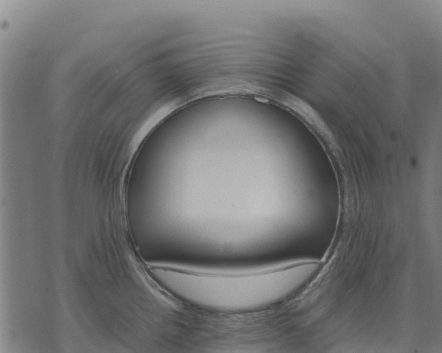 X0000070381242200606231704