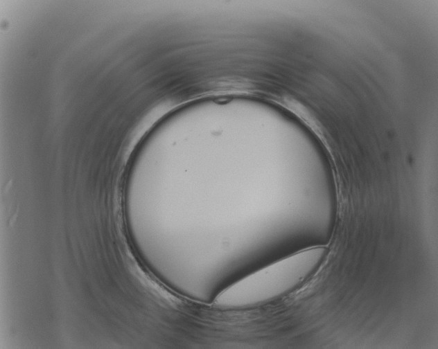 X0000070381243200606231704