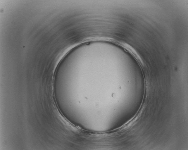 X0000070381244200606231704