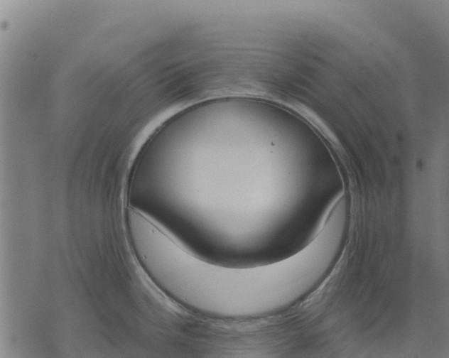 X0000070381246200606231704