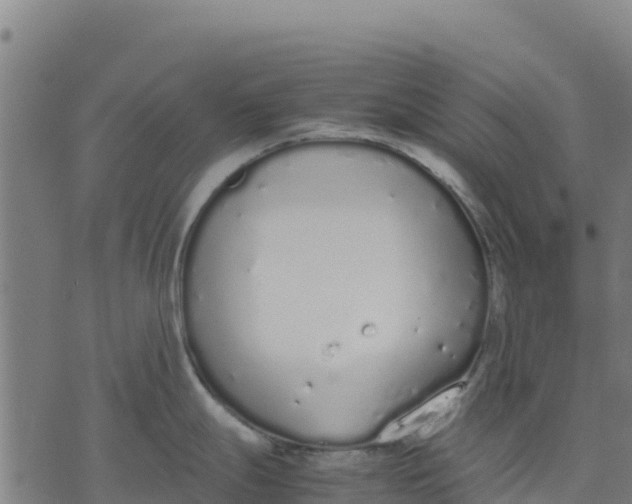 X0000070381247200606231704