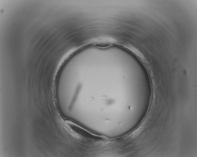 X0000070381248200606231704