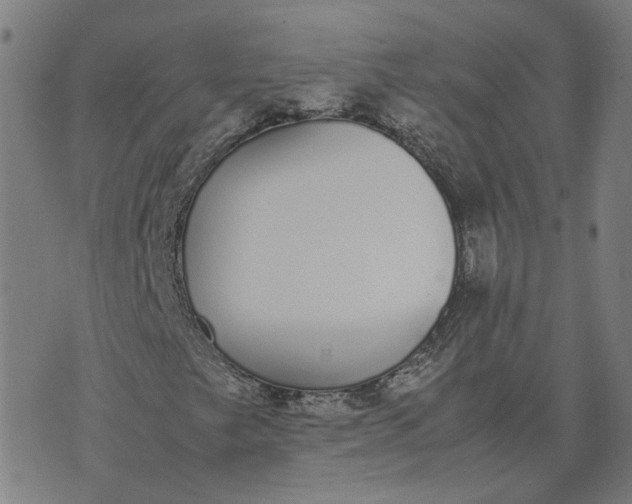 X0000070381249200606231704