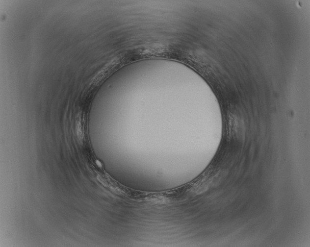 X0000070381250200606231703