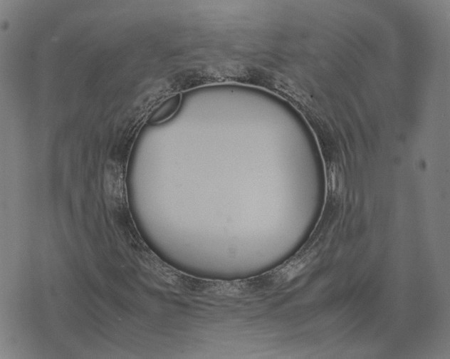 X0000070381251200606231703