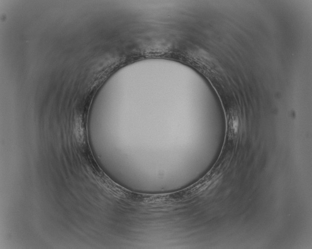 X0000070381252200606231703