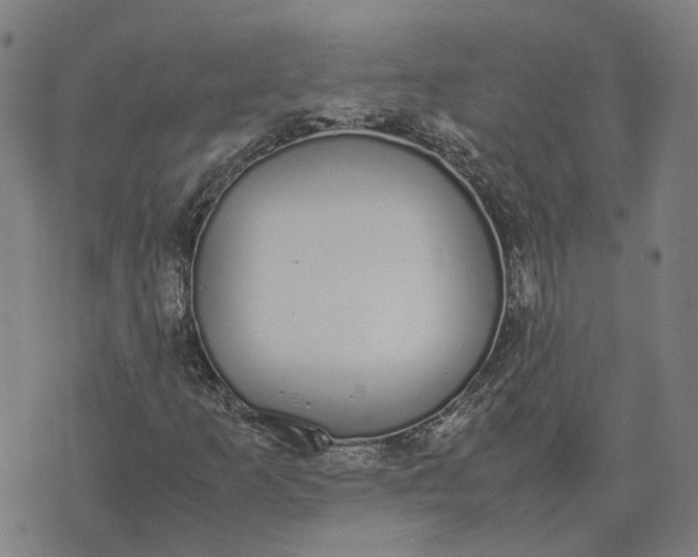 X0000070381253200606231703