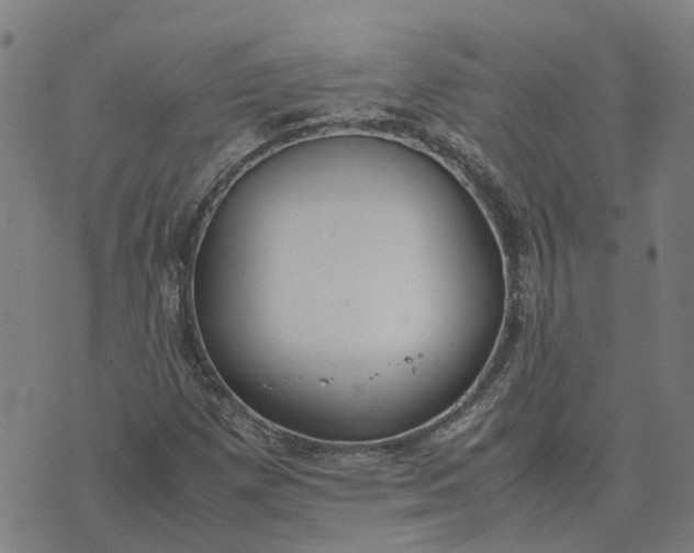 X0000070381257200606231703